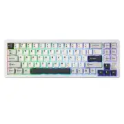 Aluminum Hot Swappable Gasket 2.4GHz Wireless BT5.0/USB-C Wired Gaming Keyboard