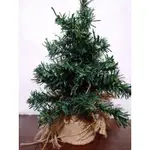 🔸二手🔸節慶佈置物 28CM聖誕樹