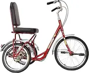 Three Wheel Bike, Adult Tricycle High Carbon Steel Frame 3 Wheel Bikes Adjustable Seat Cruise Trike with Shopping Basket&Seat Backrest for Recreation Shopping Cycling Pedalling