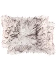 Luxe Faux Fur Set of 2 Belton Pillows