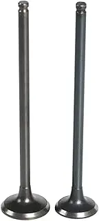 Motorcycle Intake Valve and Exhaust Valve Stem Kit for ZXR250 ZXR 250 89-98 ZR250 Balius ZR 250 2000 Inlet Outlet Valve(1x Intake 1x Exhaust)