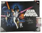 DAVID PROWSE Darth Vader signed 16x20x1.5 STAR WARS SERIES CANVAS Wall Art JSA