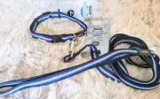Rogz for Dogz Small MIDGET Blue Ombre Adjustable Collar 8-13" & 5'3" Leash SET
