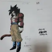 Dragon Ball Settings Novelty Akira Toriyama