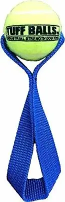 PetSport Mini Fetch Me Fido Ball