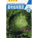 【萌田種子~蔬菜種子】B25 日本夏秋結球萵苣種子0.45公克 ,美生菜 ,可做生菜沙拉 ,每包16元~