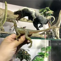 在飛比找Yahoo!奇摩拍賣優惠-法國PAPO侏羅紀世界恐龍模型玩具2018秀顎龍55072正