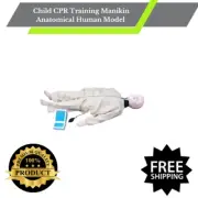 Child CPR Training Manikin Anatomical Human Model