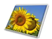 New 14.0" WXGA+ LED LCD screen for Fujitsu CP624214-01 laptop