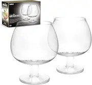 [Fishbowl] Large Copa Gin and Tonic Glasses G&T Cup Short Stemmed Balloon Crystal Cocktail Glass Dishwasher Safe 600ml - Pack of 2 (Pair)