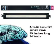 LumenIZE Jungle Dawn LED 24 watt (19") Reptile Light