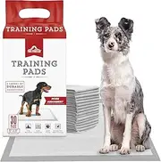 Paw Mountain Training Pads 22" x 22" 30 Pads