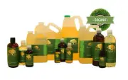 12 oz PREMIUM BLACKBERRY SEED OIL PURE & ORGANIC FRESH BEST QUALITY COLD PRESSED
