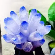 464G New Find sky BLUE Phantom Quartz Crystal Cluster Mineral Specimen Healing