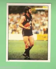 1983 SCANLENS VFL STICKER - #14 ROD ASHMAN, CARLTON BLUES