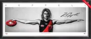 DYSON HEPPELL ESSENDON BOMBERS HAND SIGNED FRAMED FULL SIZE AFL WINGS PRINT