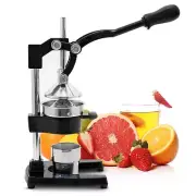 ™ Manual Cold Press Slow Juicer | Cast Iron, Aluminum Alloy, Stainless Steel ...
