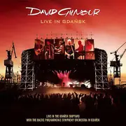 David Gilmour - Live In Gdansk - Dvd Mixed Product [DVD]