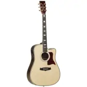 Tanglewood TW1000HSRCE Heritage Dreadnought C/E with ABS Case