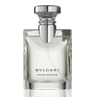 在飛比找Yahoo!奇摩拍賣優惠-《尋香小站 》Bvlgari pour Homme 寶格麗大