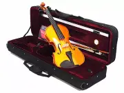 Student/Beginner Model 4/4 Solid Wood Violin +Bow +Square Case+Rosin +String set