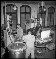 Coca Cola Berne workers bottling plant bottle 1949 Old Photo