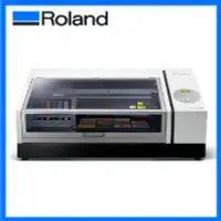 在飛比找露天拍賣優惠-【木百貨】公司貨/附發票 日本Roland LEF2-200