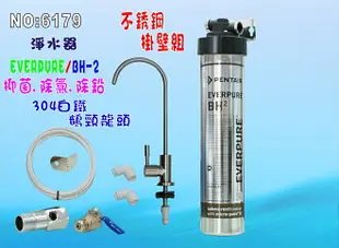 Everpure/BH2淨水器.濾心另售S100、S104、H104、BH2、4C 貨號:6179【七星淨水】