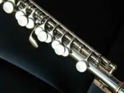 Berkeley Pro Silver Piccolo Flute Key of C