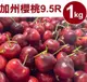 【甜露露】 加州櫻桃9.5R 1kg(1kg±10%) ,預計5月7-5月9日出貨