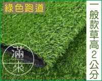 在飛比找Yahoo!奇摩拍賣優惠-一般款草高2CM【奇滿來】綠色跑道 彩虹跑道 偽草皮 仿真草