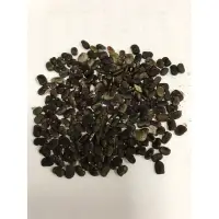 在飛比找蝦皮購物優惠-重瓣蝶豆花種子-一份12粒20元，出芽率高，容易繁殖。