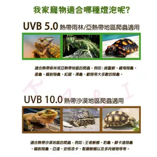 現貨🌈NOMO 爬蟲UVB補鈣燈 5.0 10.0 紫外線燈 燈泡 爬蟲 兩棲 守宮 變色龍 陸龜 烏龜 蜥蜴