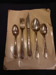 Wm A Rogers A1 Plus Oneida Meadowbrook Heather Silverplate 5 PC Setting NEW!!