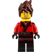 在飛比找蝦皮購物優惠-LEGO 樂高 旋風忍者 幻影忍者 70617 70608 