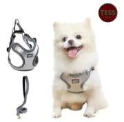 No Pull Dog Harness with Leash Set Grey All Weather Mesh Adjustable Step Size XS