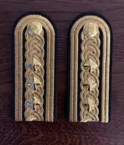 Pair of ceremonial shoulder straps of the Ukrainian Army, Colonel