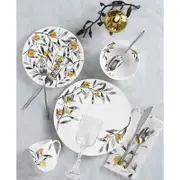 Michael Aram Pomegranate 4 Piece Dinnerware Set