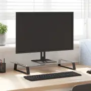 Monitor Stand Desktop Computer Screen Riser Tempered Glass and Metal vidaXL