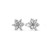 PANDORA JEWELS Mod. SPARKLING HERBARIUM
