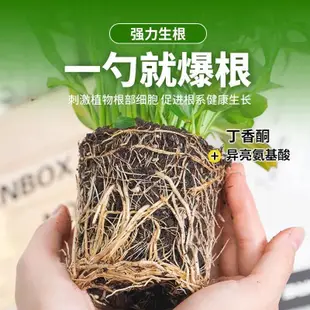 船長多肉花園強力生根粉植物水溶肥移栽扡插壯苗劑快速生根營養液