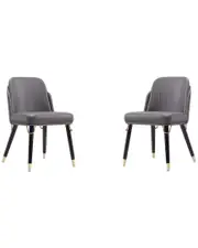 Manhattan Comfort Set of 2 Estelle Dining Chairs