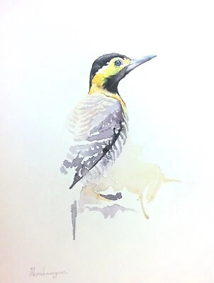 Flicker, Birds, Watercolor artwork, Handmade, Original painting on paper