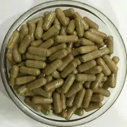 Astragalus Membranaceus Root Extract Capsules Pure & High Quality