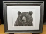 Drawing of a Grizzly Brown Bear Wildlife Nature Graphite Pencil Sketch Picture