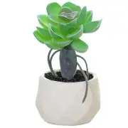 Artificial Plants and Greenery in1 White Ceramic pots，Small Fake Plants for