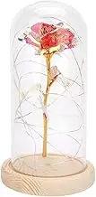 Night Light, Flower LED Lamp LED Lights in Glass Dome on Wood Base Beauty and The Beast Rose Flowers Warm Light for Valentines (Pink)