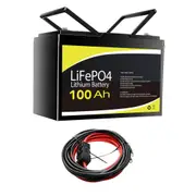 GENTRAX 12V 100Ah Lithium Battery + Controller to Battery M8 Cable (6m, 60A)
