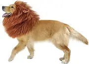 GABOSS Lion Mane Costume, Dog Lion Wig for Dog Pet Festival Party Fancy Hair Dog Clothes (Dark Brown with Ear), Large