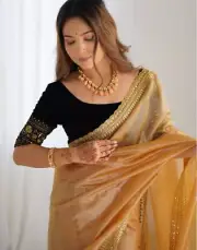 Sari Blouse Bollywood Sari Indian Net Saree Designer Golden Brown Wedding Sarees